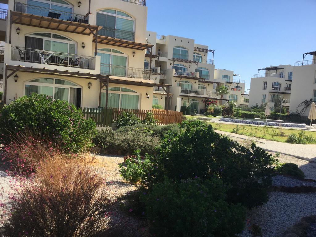 Aphrodite Beachfront Apartment Ghaziveran Esterno foto