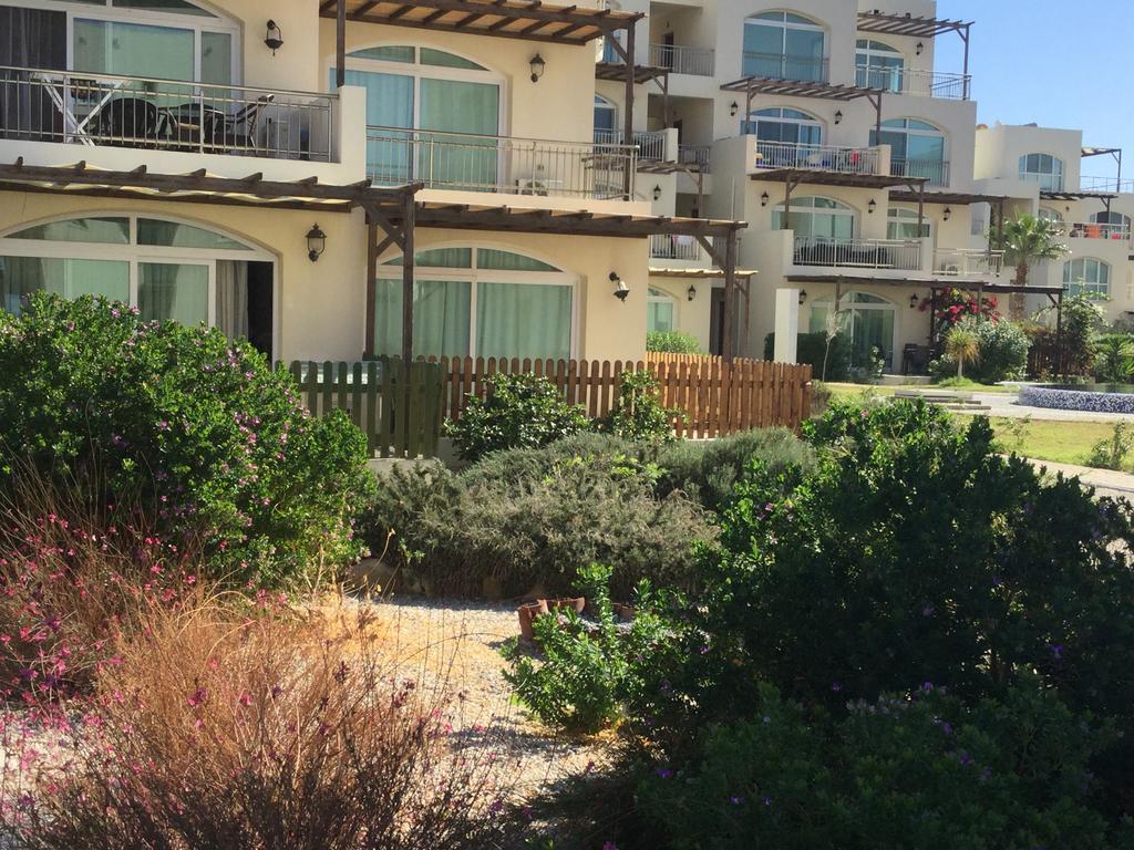 Aphrodite Beachfront Apartment Ghaziveran Esterno foto
